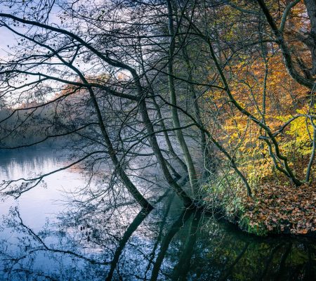 Bäume und Sträucher mit letzten herbstlich gefärbten Laub stehen an einem norddeutschen Fluss an einem Novembermorgen